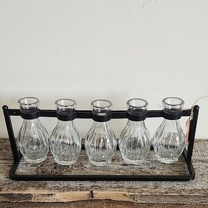 Five-Glass Bud Vase Set with Black Metal Frame